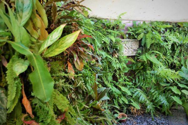 How to build a vertical garden by recycling materials