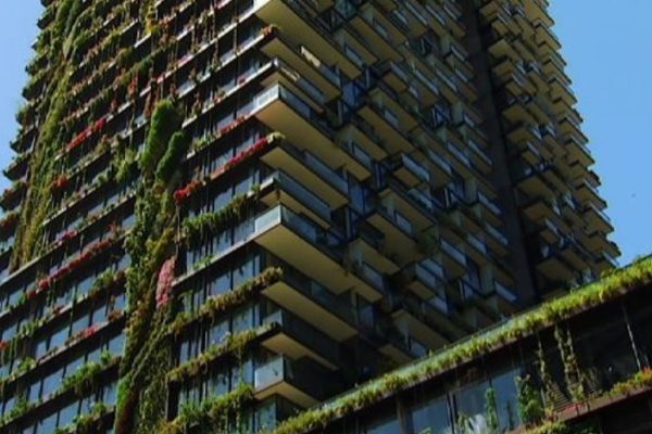 Why plants are good for liveable cities