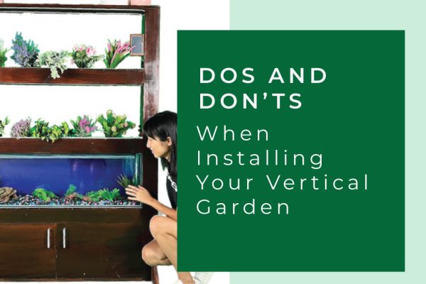 When-Installing-Your-Vertical-Garden